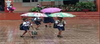അപകടം സംഭവിച്ചിരുന്നുവെങ്കിൽ നിങ്ങൾ തിരിച്ചു പറയുമായിരുന്നു'; കളക്ടർ രേണുരാജ്!